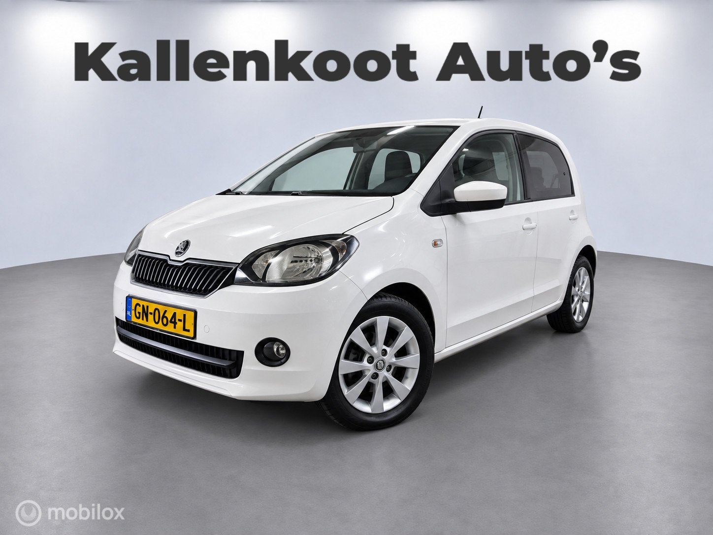 Skoda Citigo 1.0 Greentech Edition, 5-Drs, Navi, LMV, NAP!, Auto's, Voorwielaandrijving, Euro 5, Stof, Gebruikt
