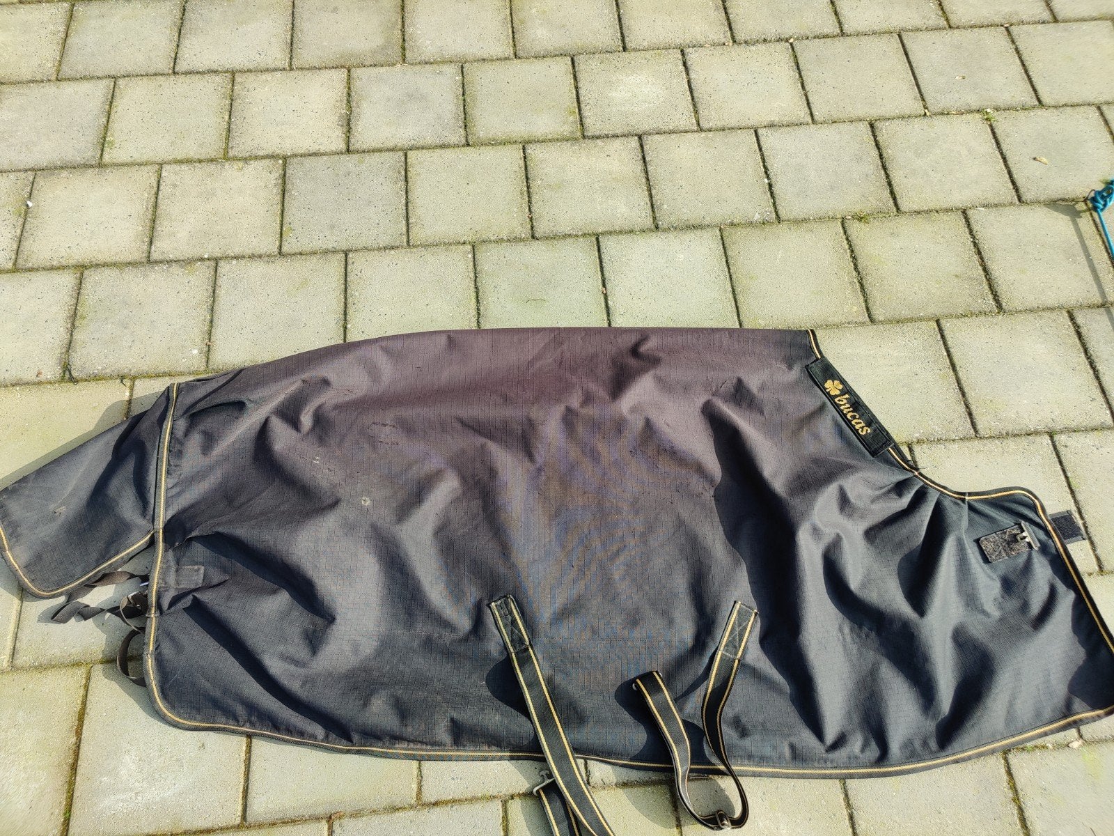 Bucas Irish Turnhout winterdeken 150 gram, maat 6.0 / 185 cm, Ophalen of Verzenden, Gebruikt, 150 g, Bucas