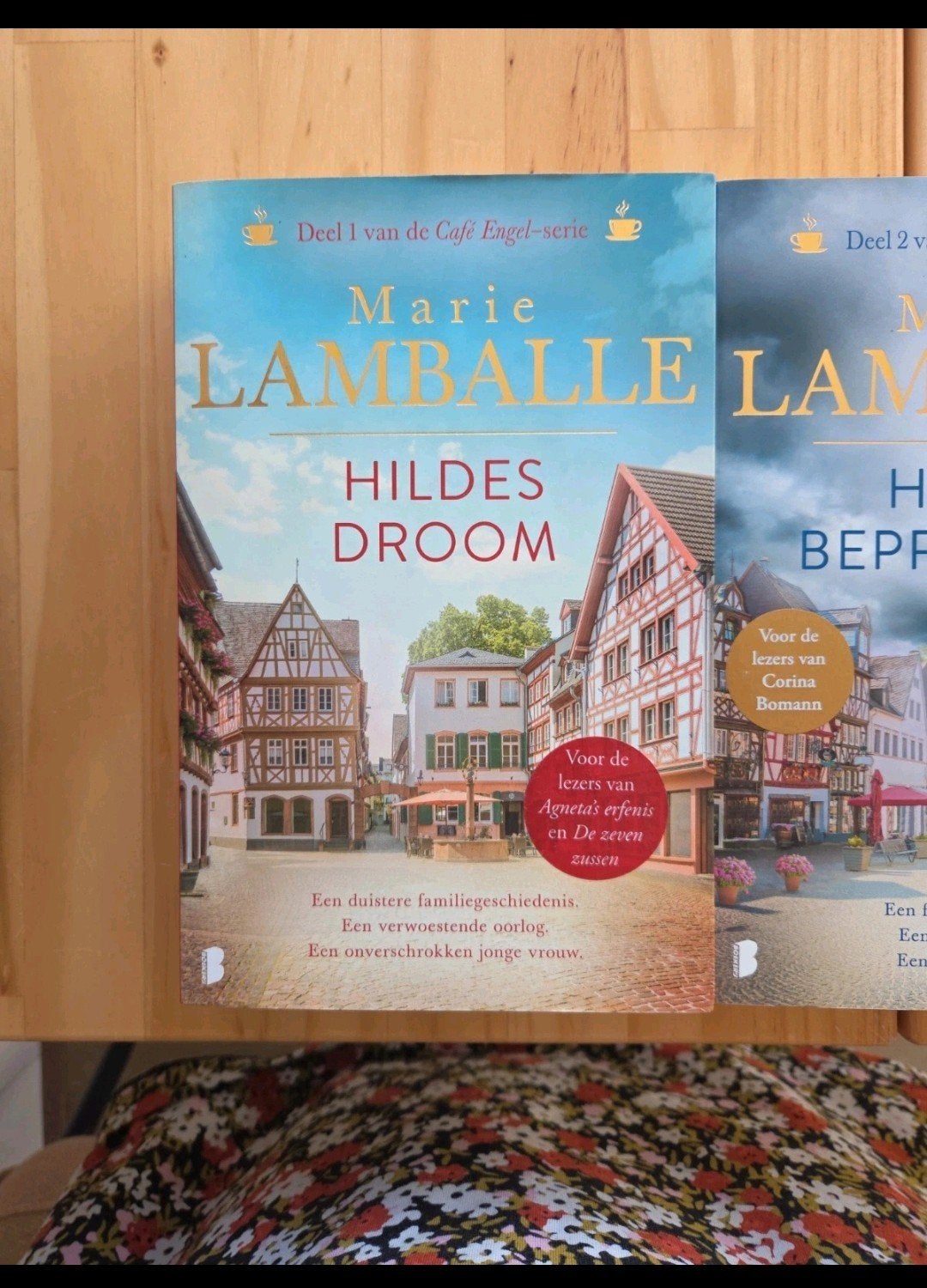 Marie Lamballe - Hildes Droom & Hildes Beproeving (2 boeken), Ophalen of Verzenden, Zo goed als nieuw, Marie Lamballe, Nederland