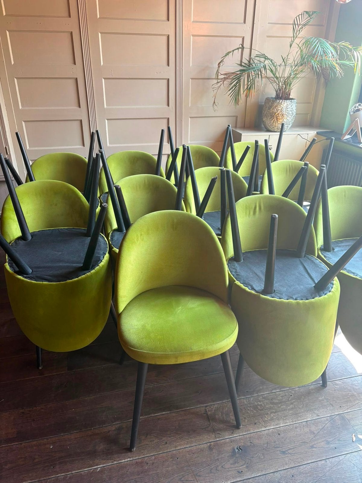 Mooie stoeltjes!, Huis en Inrichting, Stoelen, Ophalen, Overige kleuren, Zo goed als nieuw, Stof
