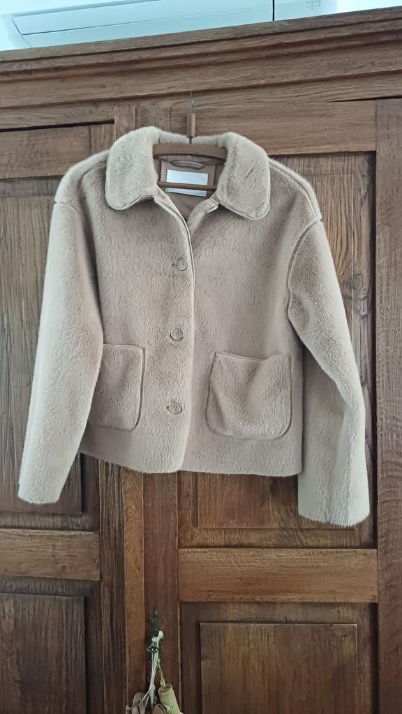 Stijlvol Beige Teddy Jasje met Kraag, Maat 38/40 (M), Beige, Ophalen of Verzenden, Onbekend
