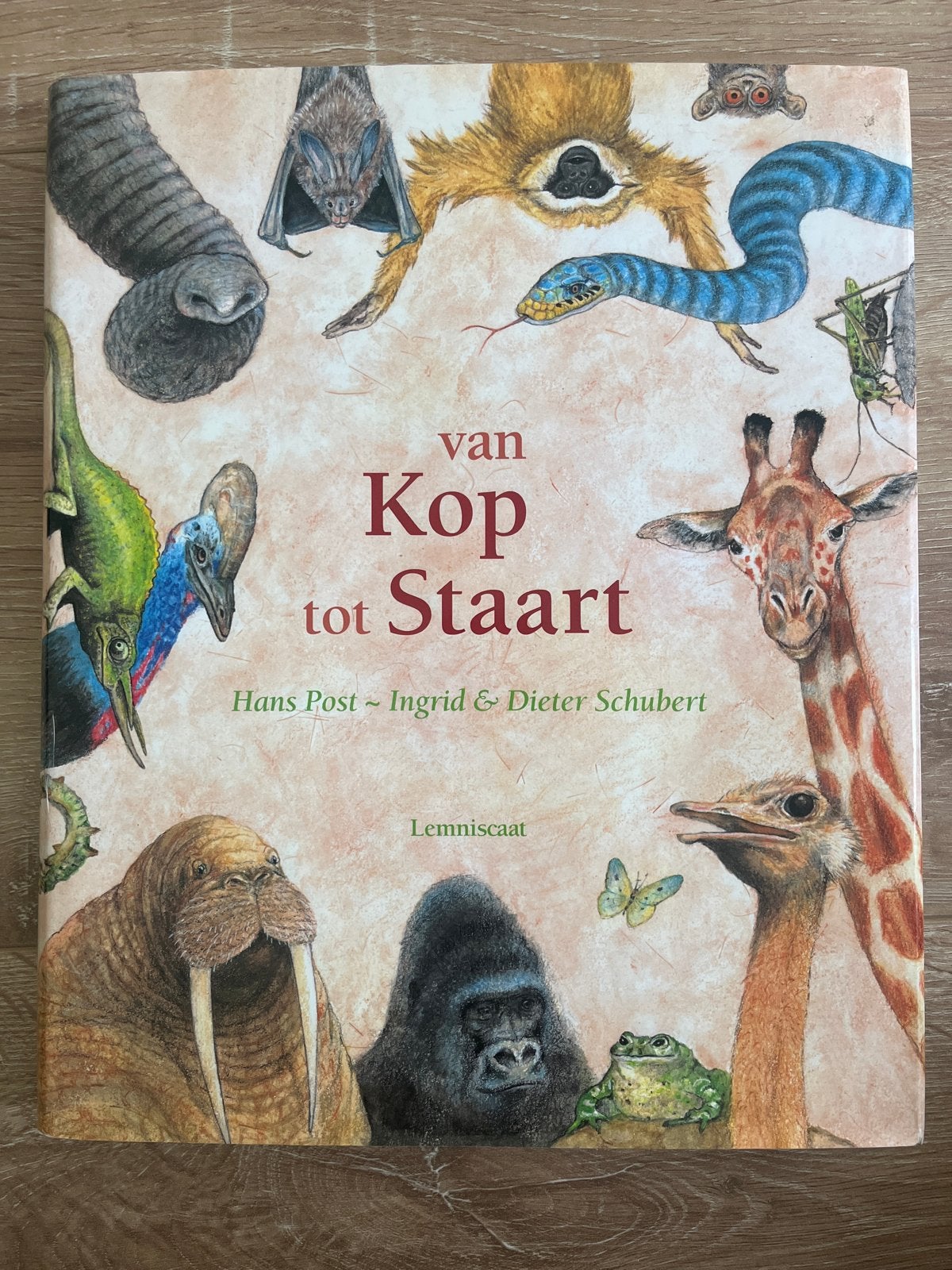 Van Kop tot Staart, Hans Post, Ingrid & Dieter Schubert, Boeken, Ophalen of Verzenden, Zo goed als nieuw, Non-fictie
