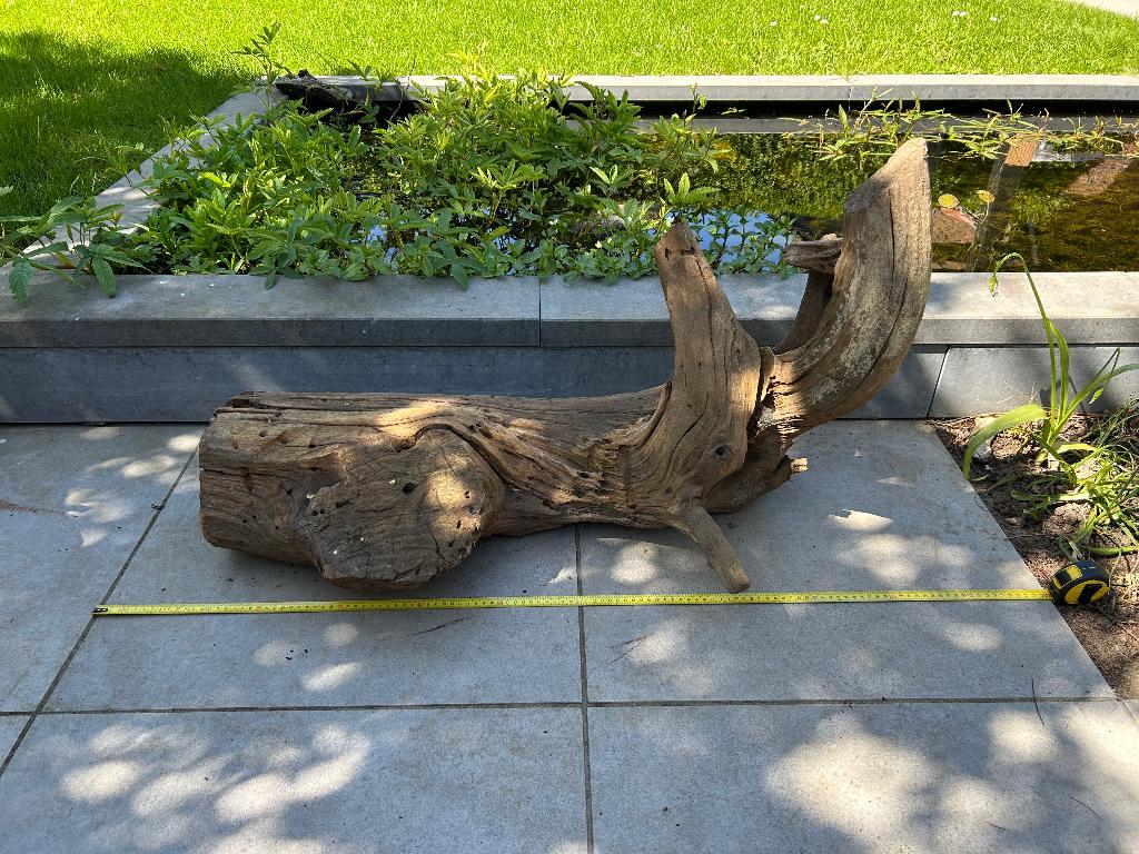 Groot stuk hout voor terrarium, Ophalen, Gebruikt, Plant(en), Steen of Hout