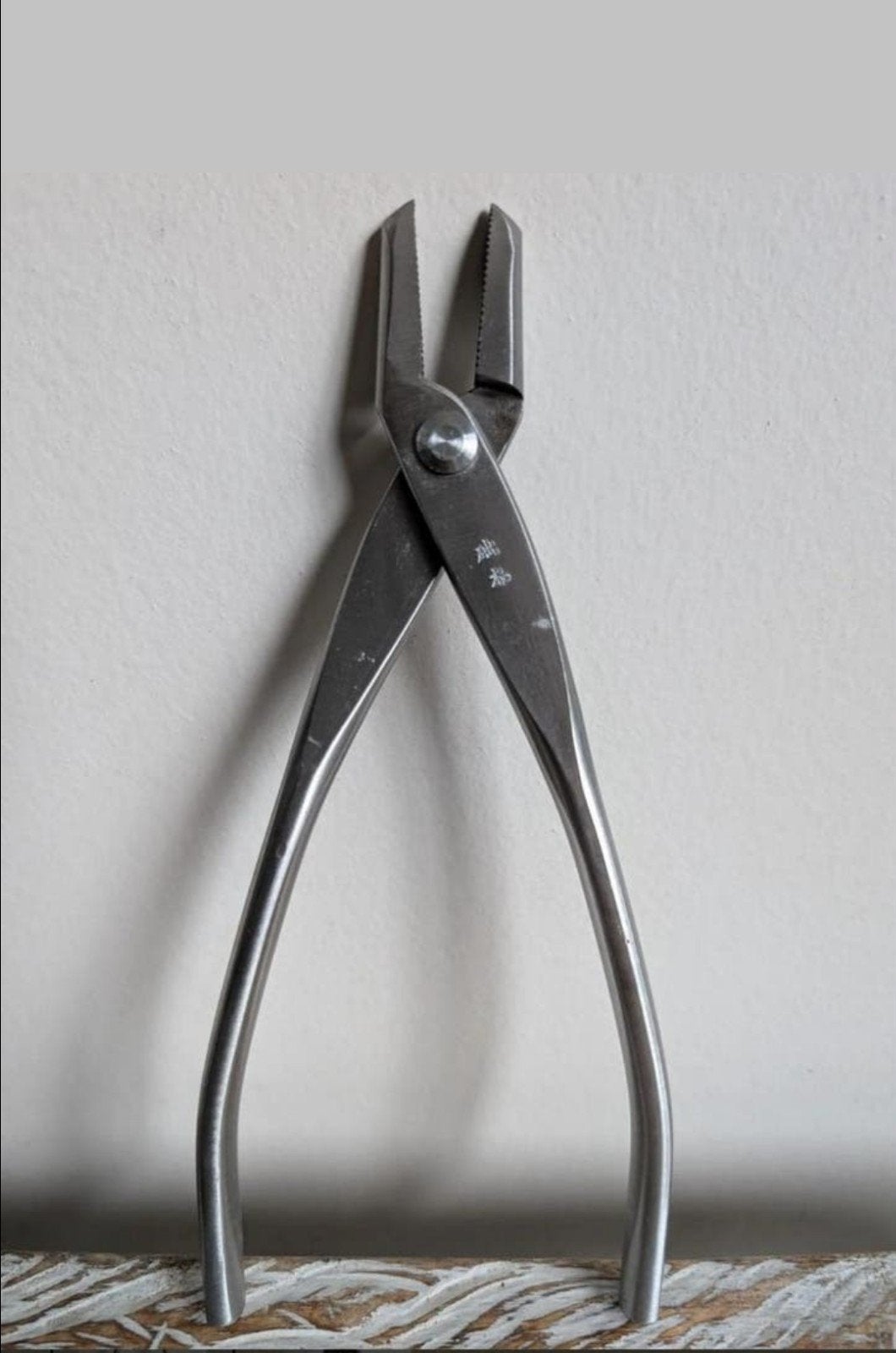 Bonsai jintang 21cm Nieuw Steenless Steel, Bloeit niet, Halfschaduw, Minder dan 100 cm, Overige soorten