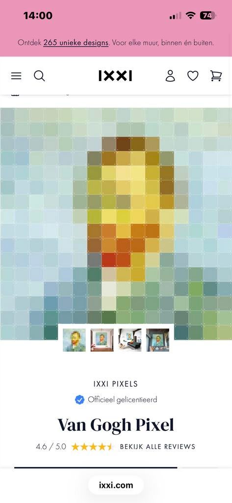 IXXI Van Gogh Pixel - Moderne Kunst aan de Muur, Ophalen of Verzenden, Zo goed als nieuw, Schilder- en Tekenkunst