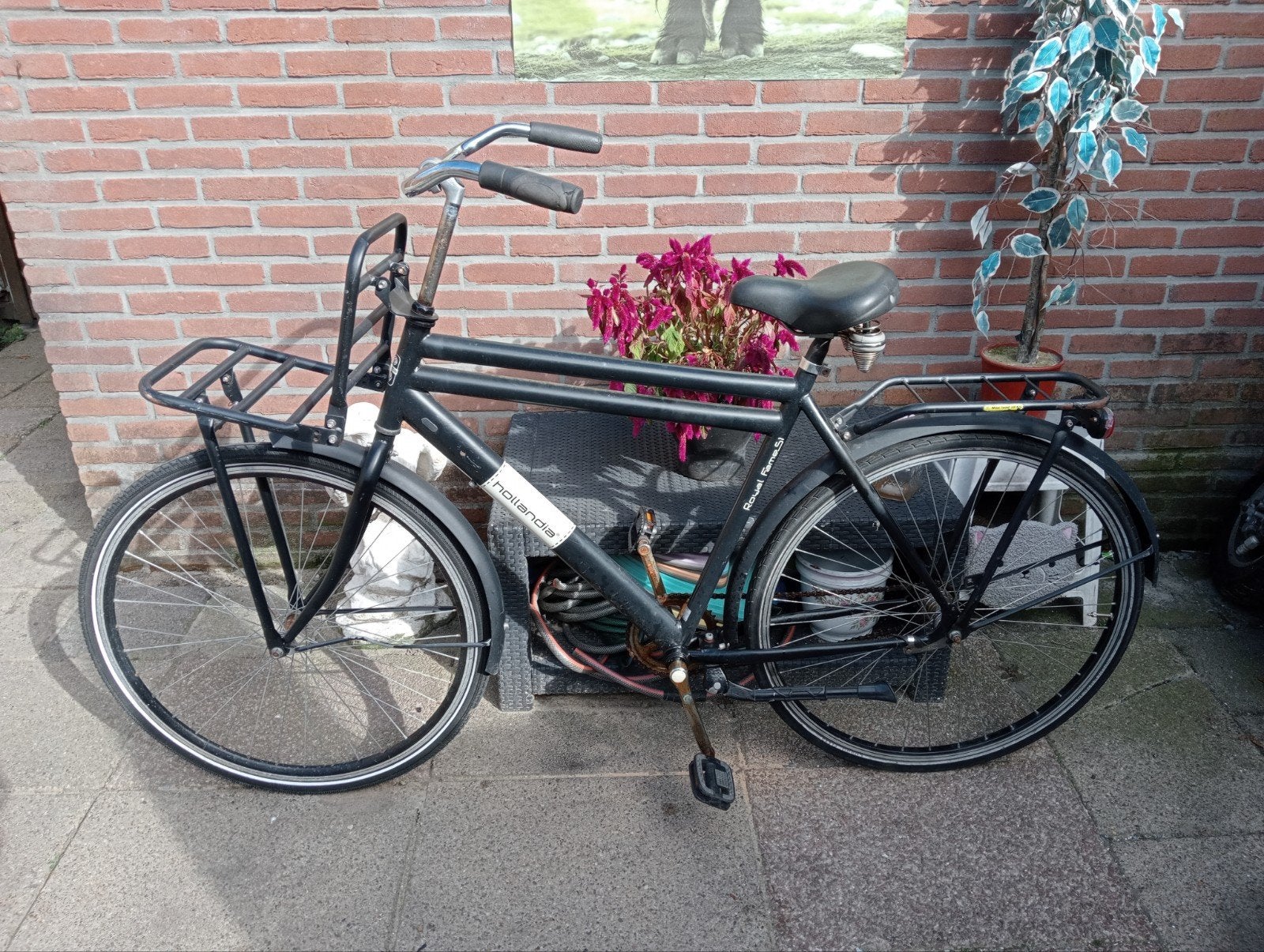 opafiets, Ophalen, Overige merken