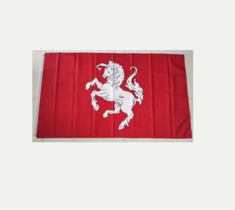 Grote vlag Twente (150x90cm), Ophalen of Verzenden, Nieuw