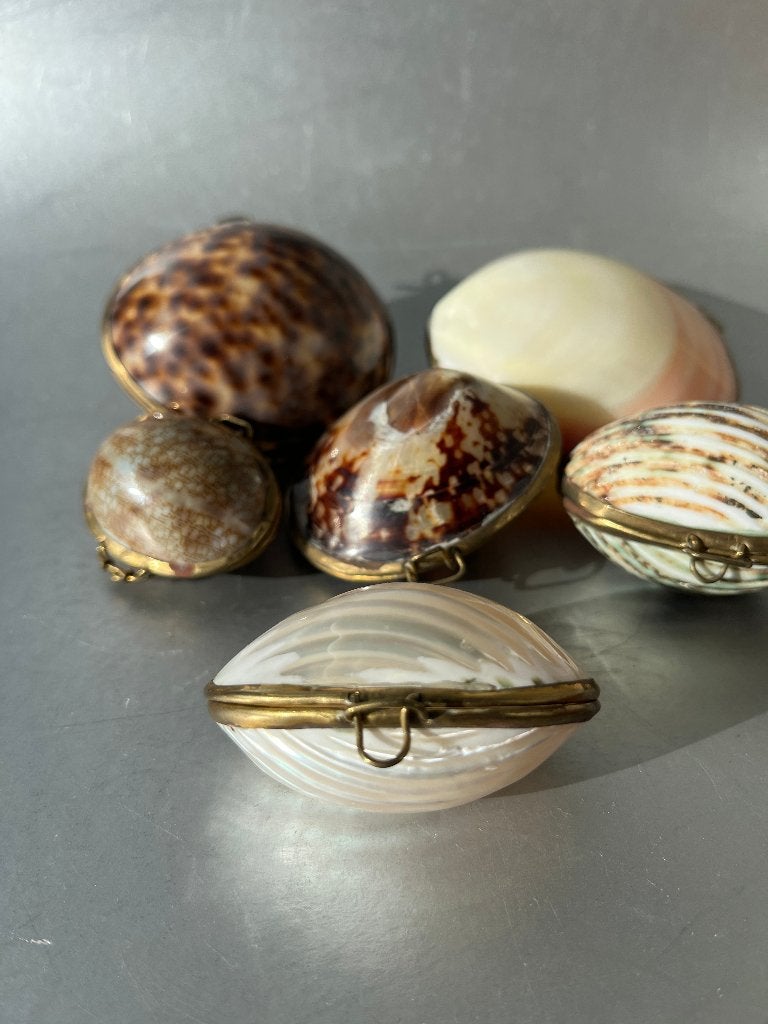 Leuk klein schelp doosje, Ophalen of Verzenden