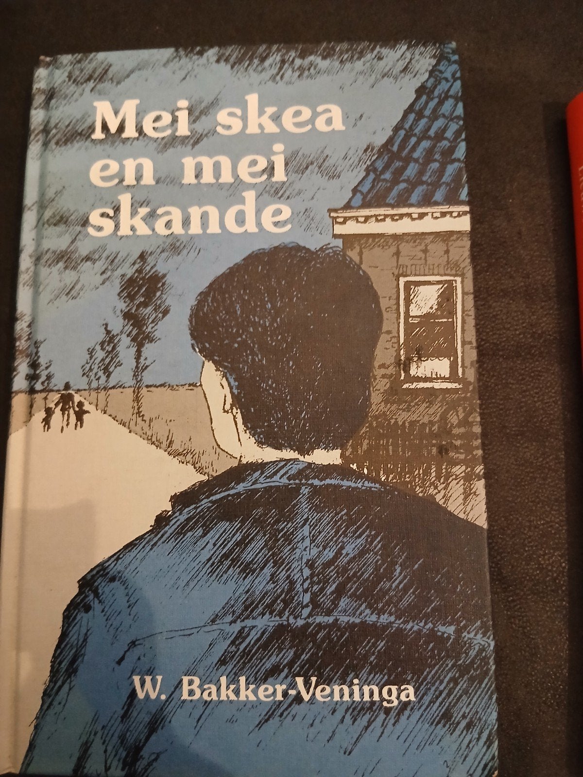 Mei skea en mei skande - W. Bakker-Veninga (Fries), Ophalen of Verzenden