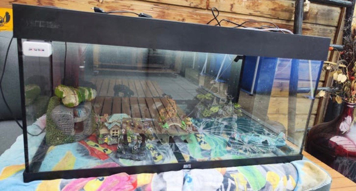 Juwel Rio 180 LED Aquarium 180L Conpleet - Zwart, Dieren en Toebehoren, Ophalen, Inclusief toebehoren, Zo goed als nieuw, Leeg aquarium