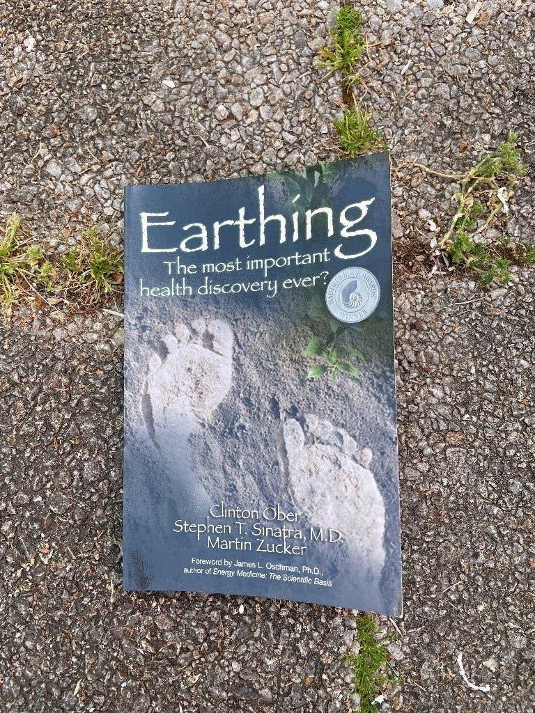 Earthing boek, Ophalen of Verzenden, Gelezen, Achtergrond en Informatie