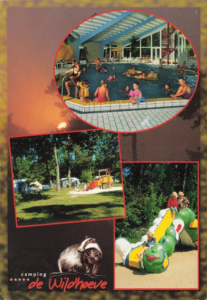 Emst-Gortel, Camping de Wildhoeve, Ophalen of Verzenden, 1980 tot heden, Gelopen, Gelderland