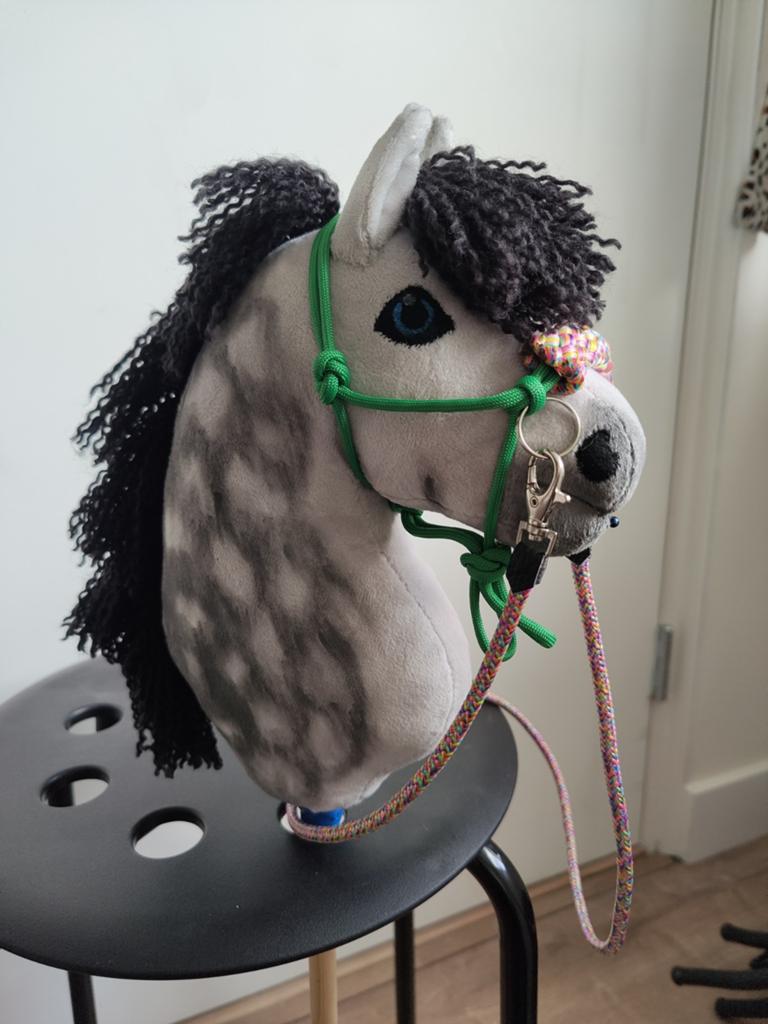 Touwhalster+ teugels voor KLEINE hobbyhorse, Hobby en Vrije tijd, Ophalen of Verzenden