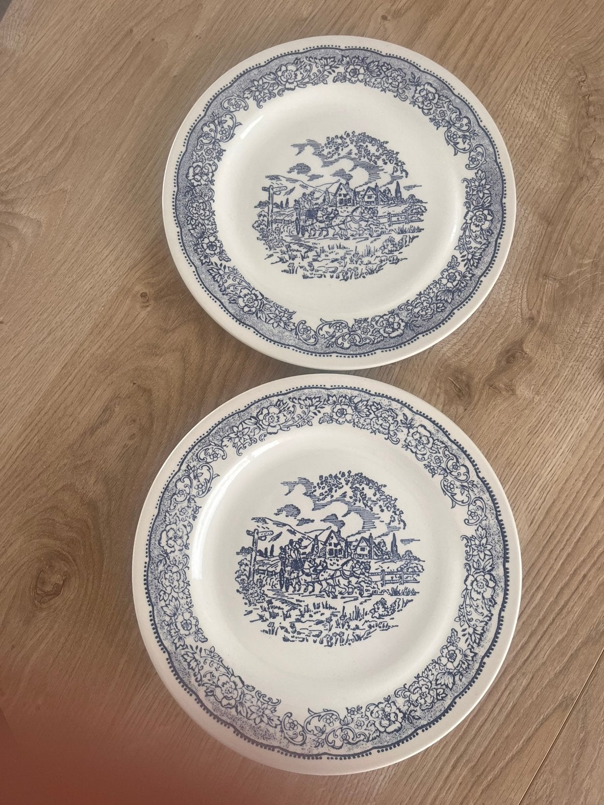 Twee vintage dinerborden, Antiek en Kunst, Antiek | Servies los, Ophalen of Verzenden