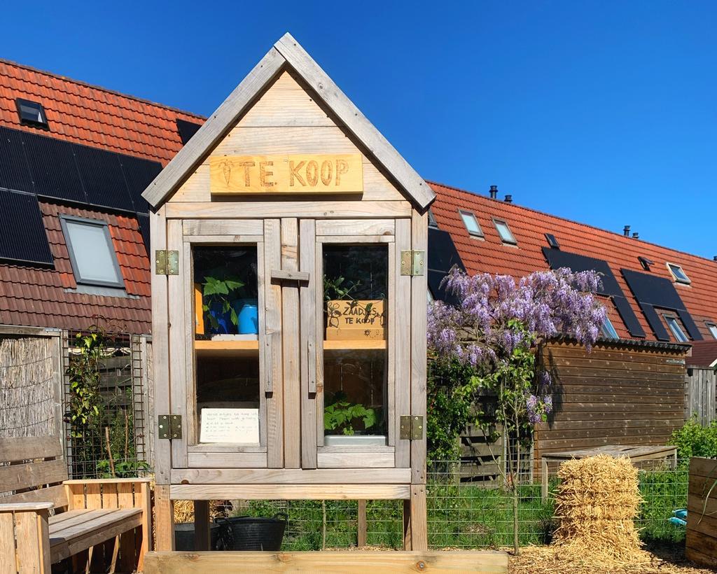 Groenten en bloemenzaadjes uit buurtmoestuin, Ophalen, Gehele jaar, Halfschaduw