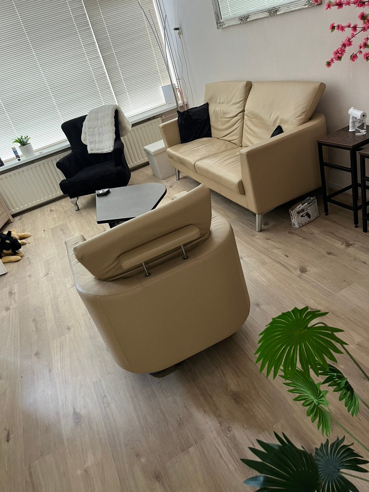 Bank + Stoel leolux, Ophalen, Gebruikt, 75 tot 100 cm