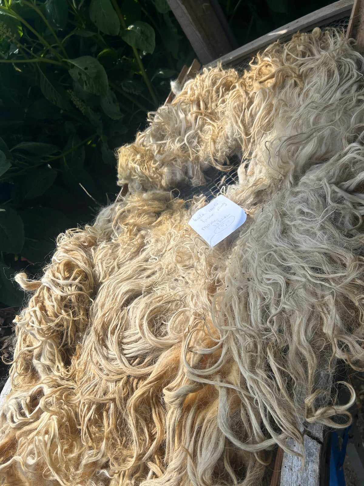 Ongewassen Racka vacht met een losse rug, Ophalen of Verzenden, Gebruikt, Kunst en Creatief