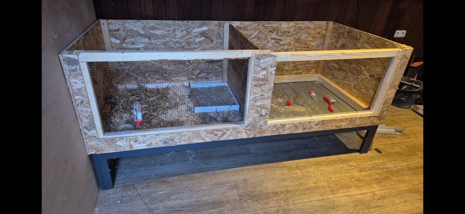 groot hok konijnen of cavia's, Ophalen, 110 cm of meer, 90 cm of meer, Konijn