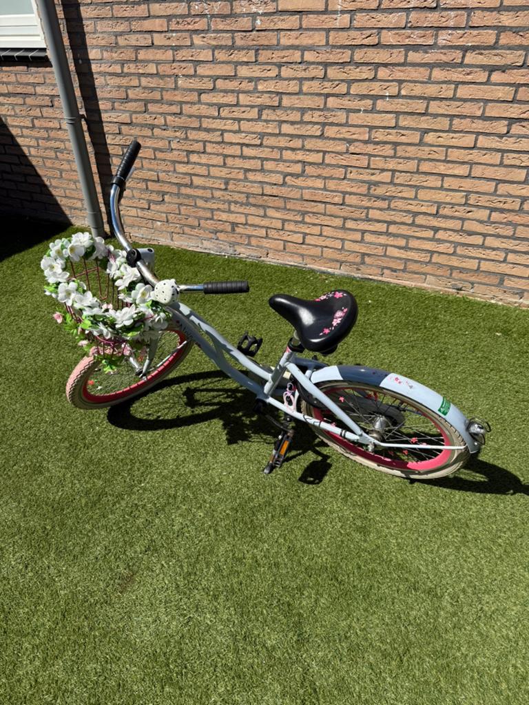 Alpina meisjesfiets 20” te koop, Fietsen en Brommers, Fietsen | Meisjes, Ophalen of Verzenden, Gebruikt, 20 inch