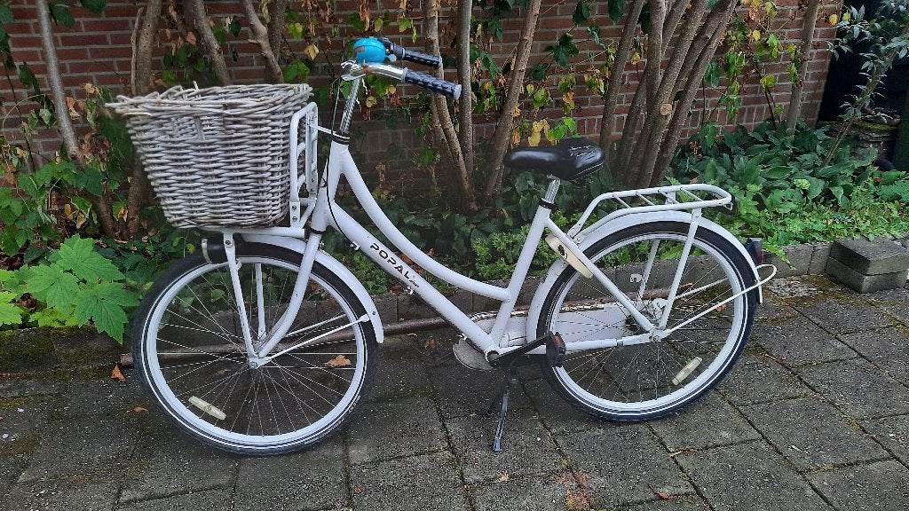 Popal meisjes-/ damesfiets 26 inch, Terugtraprem, Gebruikt, 47 tot 50 cm, Versnellingen