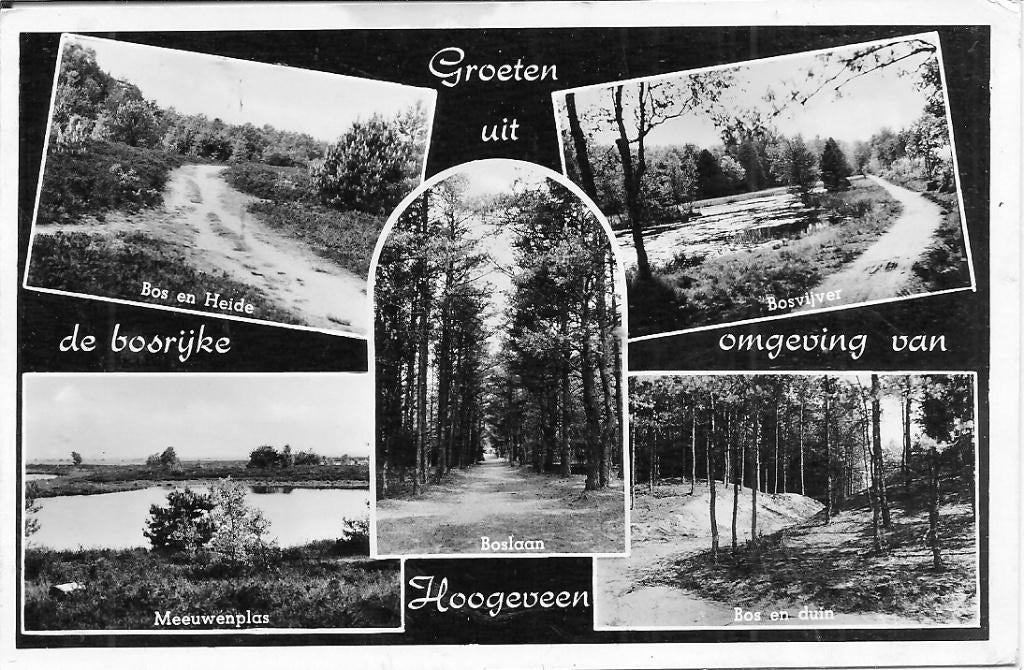 Groeten uit Hoogeveen., Ophalen of Verzenden, 1960 tot 1980, Gelopen, Drenthe