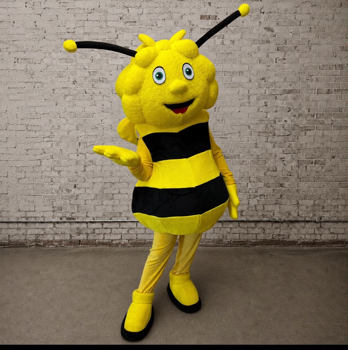 MAYA DE BIJ MASCOTTE VERHUUR, Ophalen of Verzenden, Zo goed als nieuw, Verjaardag