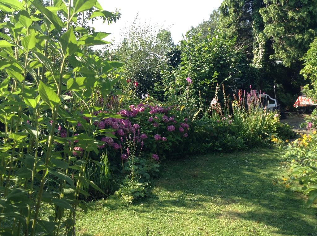 Gezocht tuinliefhebber voor volkstuin in Amsterdam, Tuin en Terras, Ophalen of Verzenden, Gebruikt