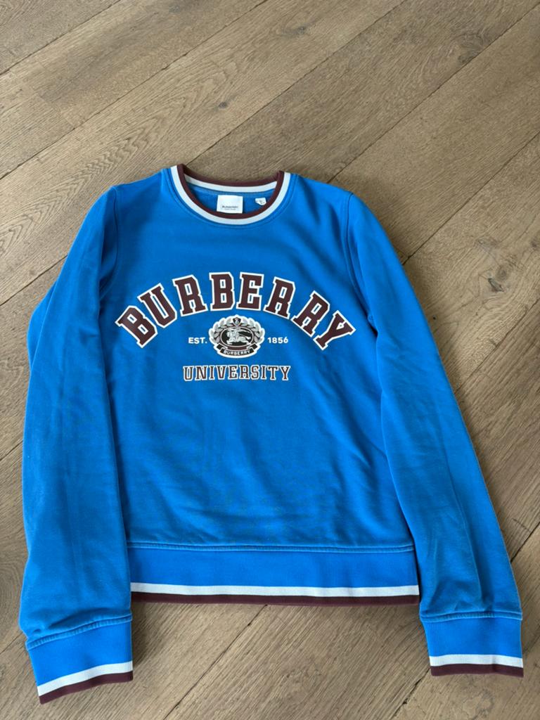 Burberry trui 14 jaar, Verzenden, Gebruikt, Jongen, Trui of Vest