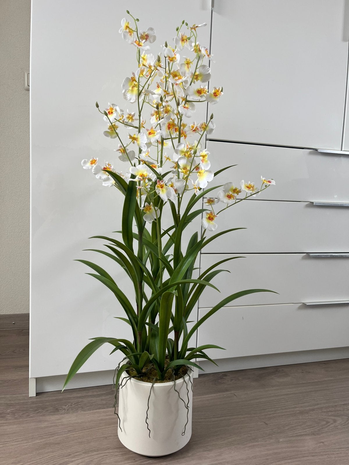 Kunst orchidee, Ophalen