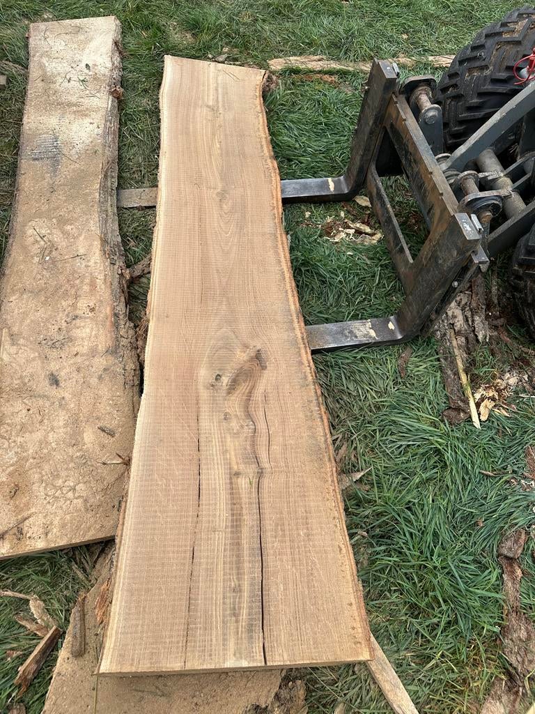 Kastanje Schaaldelen compleet stammetje- Vers, Doe-het-zelf en Verbouw, Hout en Planken, 25 tot 50 mm, Nieuw, Ophalen of Verzenden