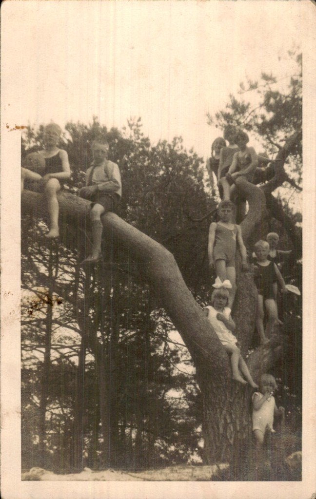 Kinderen in boom, Ophalen of Verzenden, 1920 tot 1940, Ongelopen, Overijssel