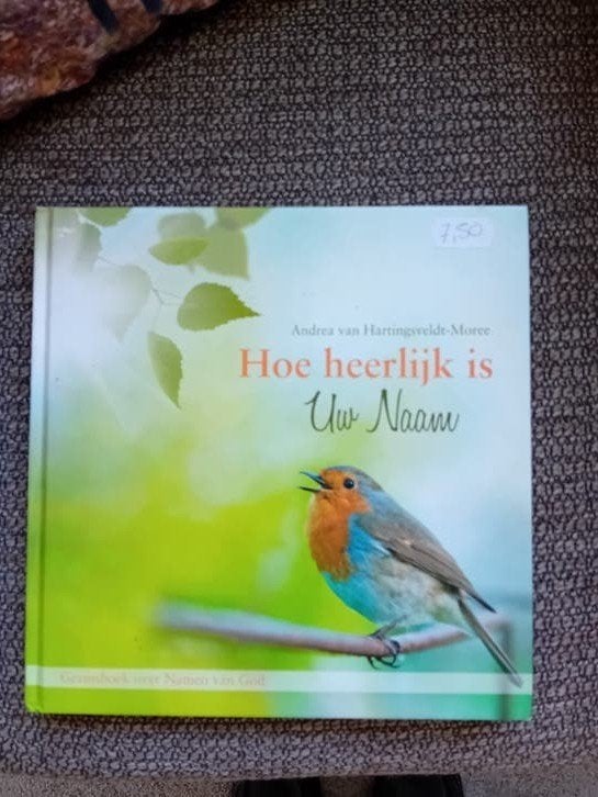 Andrea Hartingsveldt-Moree - Hoe heerlijk is Uw Naam, Boeken, Gelezen, Non-fictie, Ophalen of Verzenden, Andrea Hartingsveldt-Moree