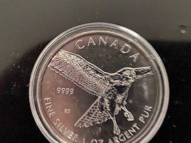 munten, Ophalen, Noord-Amerika, Losse munt, Zilver