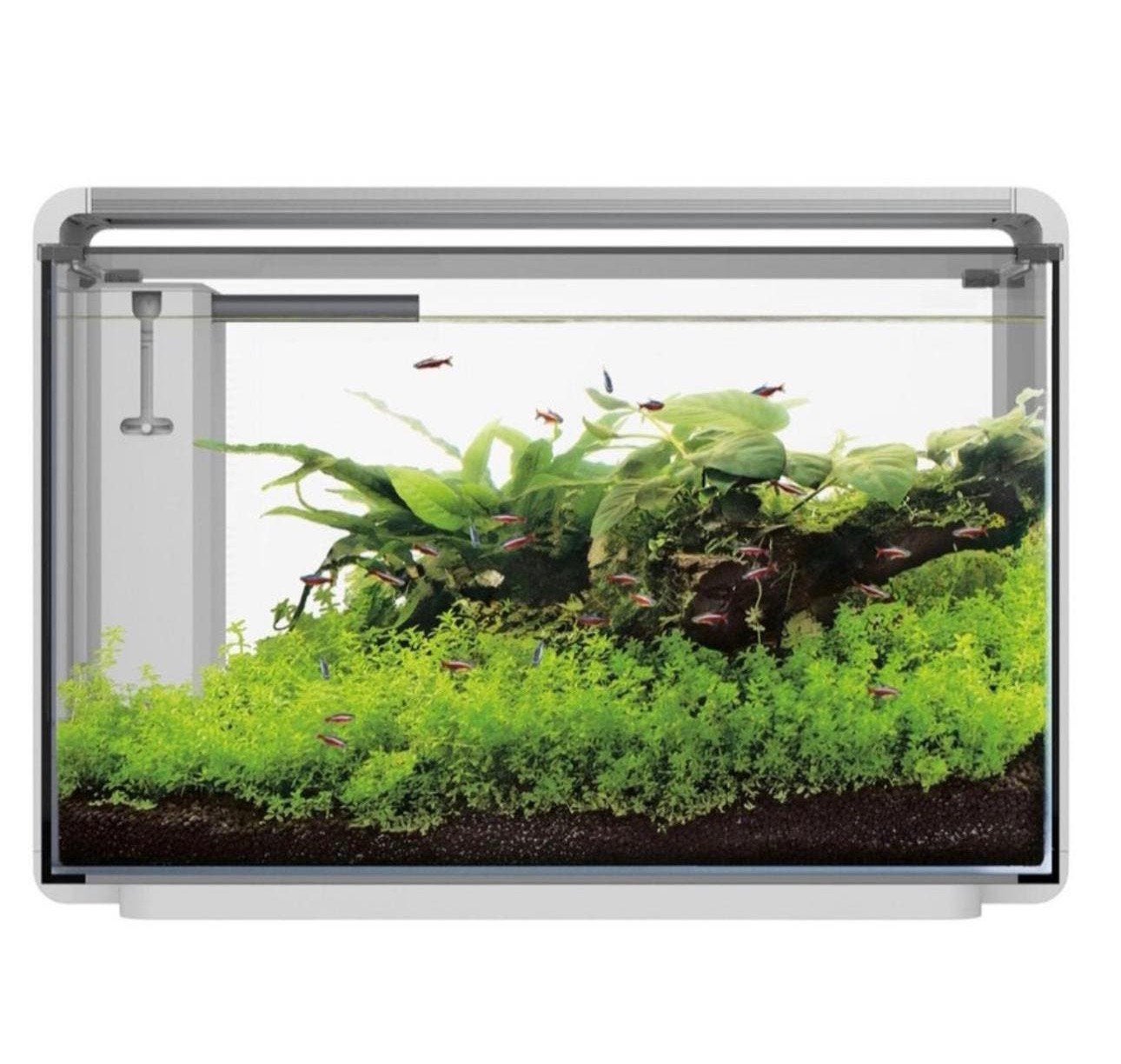Superfish home proled65, Ophalen, Inclusief deksel, Zo goed als nieuw, Leeg aquarium