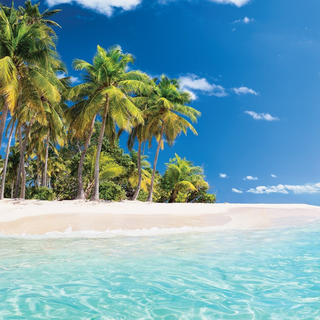Palmenstrand fotobehang Paradise, strand, Fotobehang4you, Huis en Inrichting, Stoffering | Behang, Verzenden