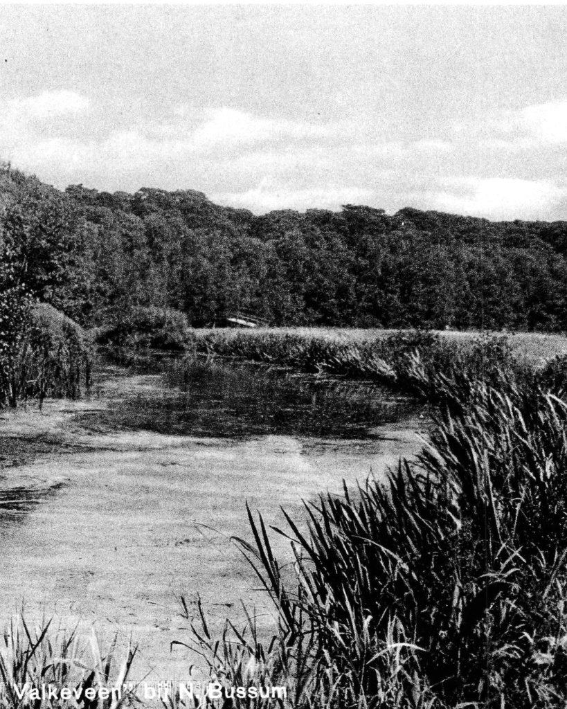 968185	Naarden	Bussum	Oud Valkeveen Waterpartij	1938, Ophalen of Verzenden, 1920 tot 1940, Gelopen, Noord-Holland