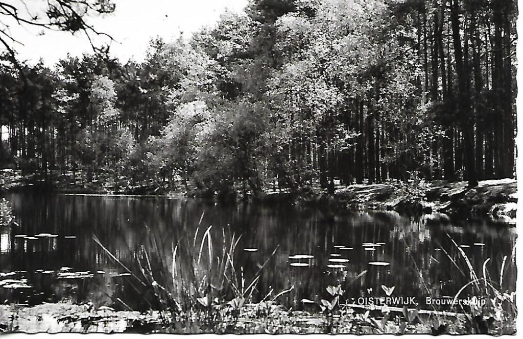 Oisterwijk- -Brouwerskuip., Verzenden, 1960 tot 1980, Gelopen, Noord-Brabant