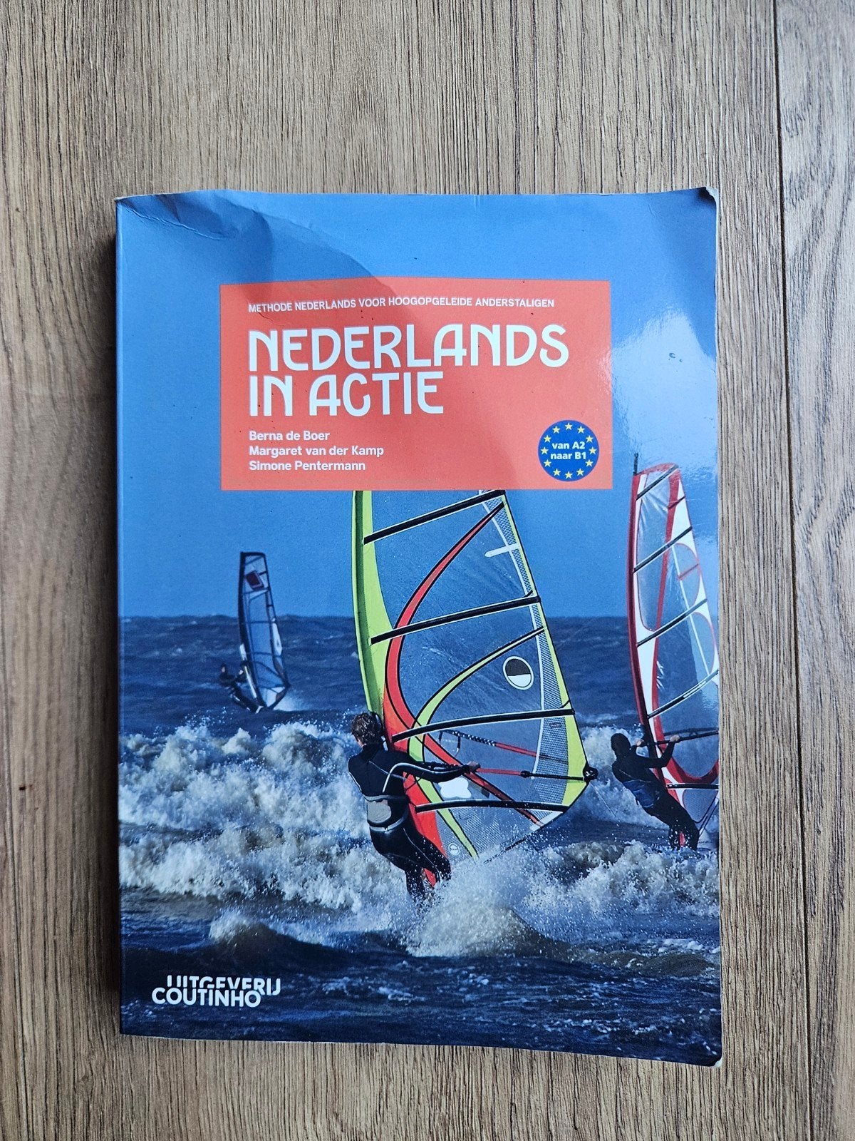 Nederlands in actie - Methode Nederlands voor hoogopgeleiden, Boeken, Ophalen of Verzenden, Zo goed als nieuw, Berna de Boer, Margaret van der Kamp, Simone Pentermann