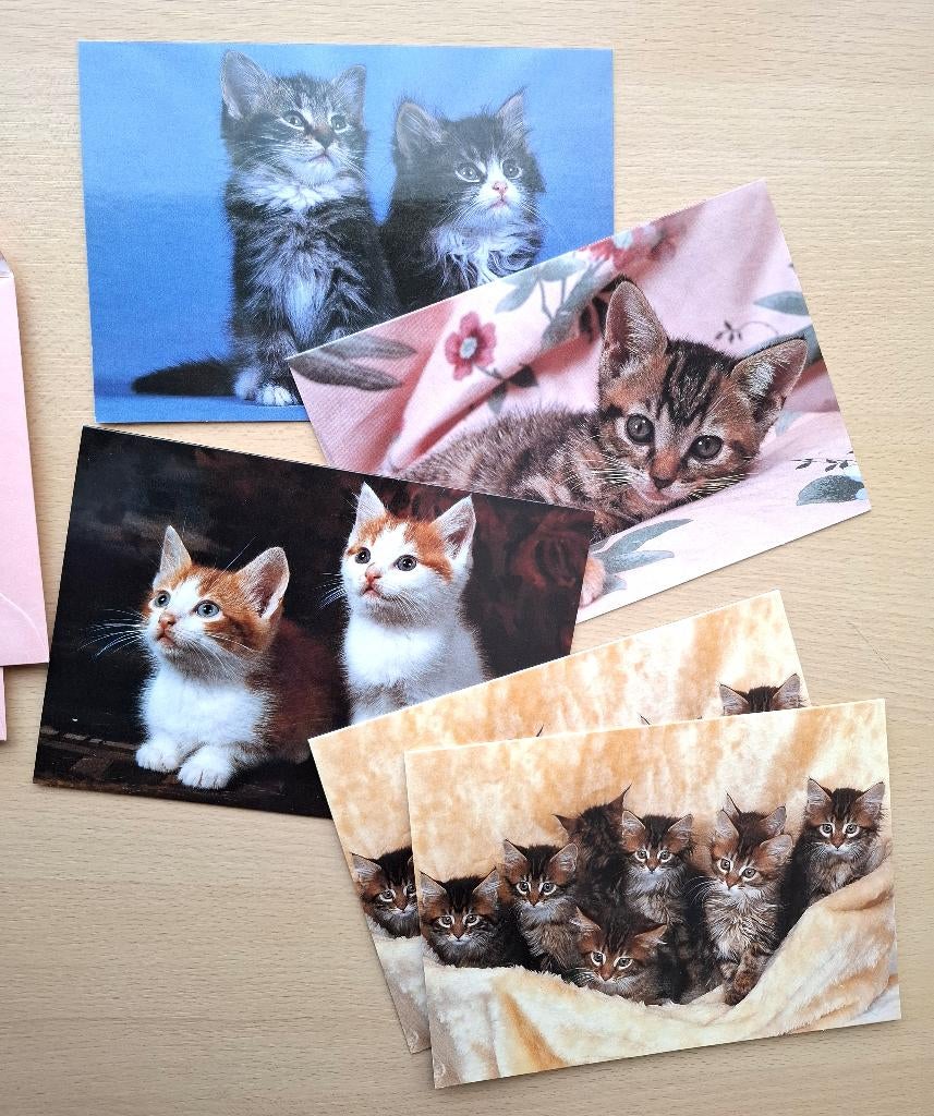 5 nieuwe kaarten met katten (met envelop), Verzenden, Nieuw