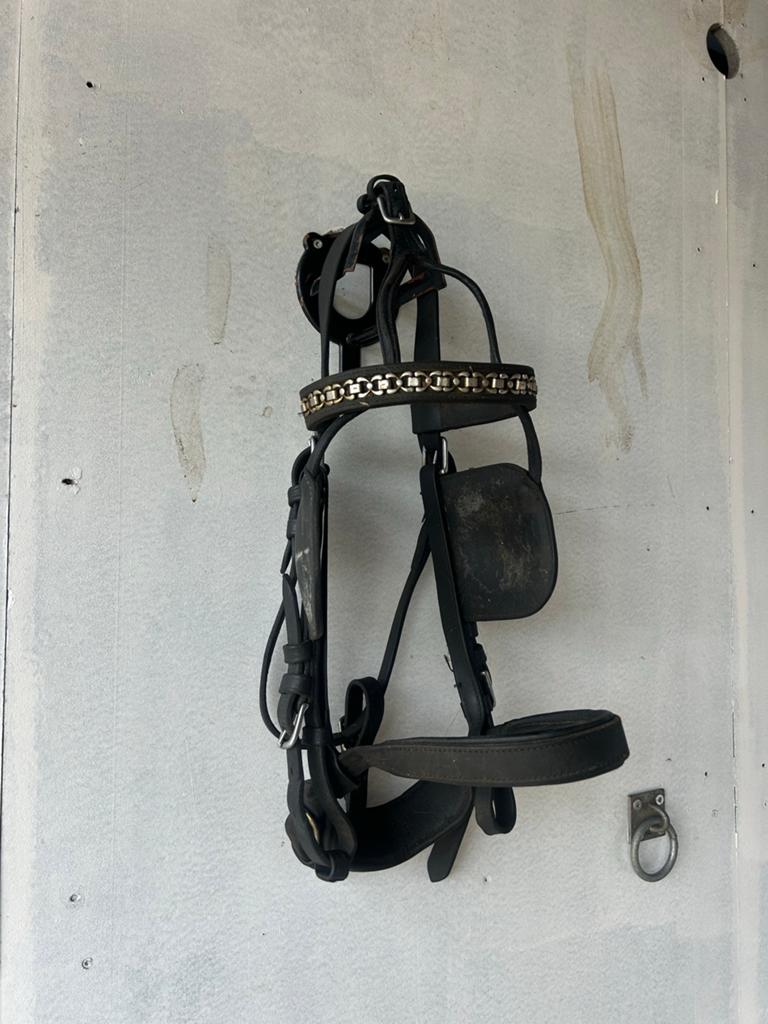 Ideaal tuig cob met broek, Dieren en Toebehoren, Ophalen, Gebruikt, Recreatie