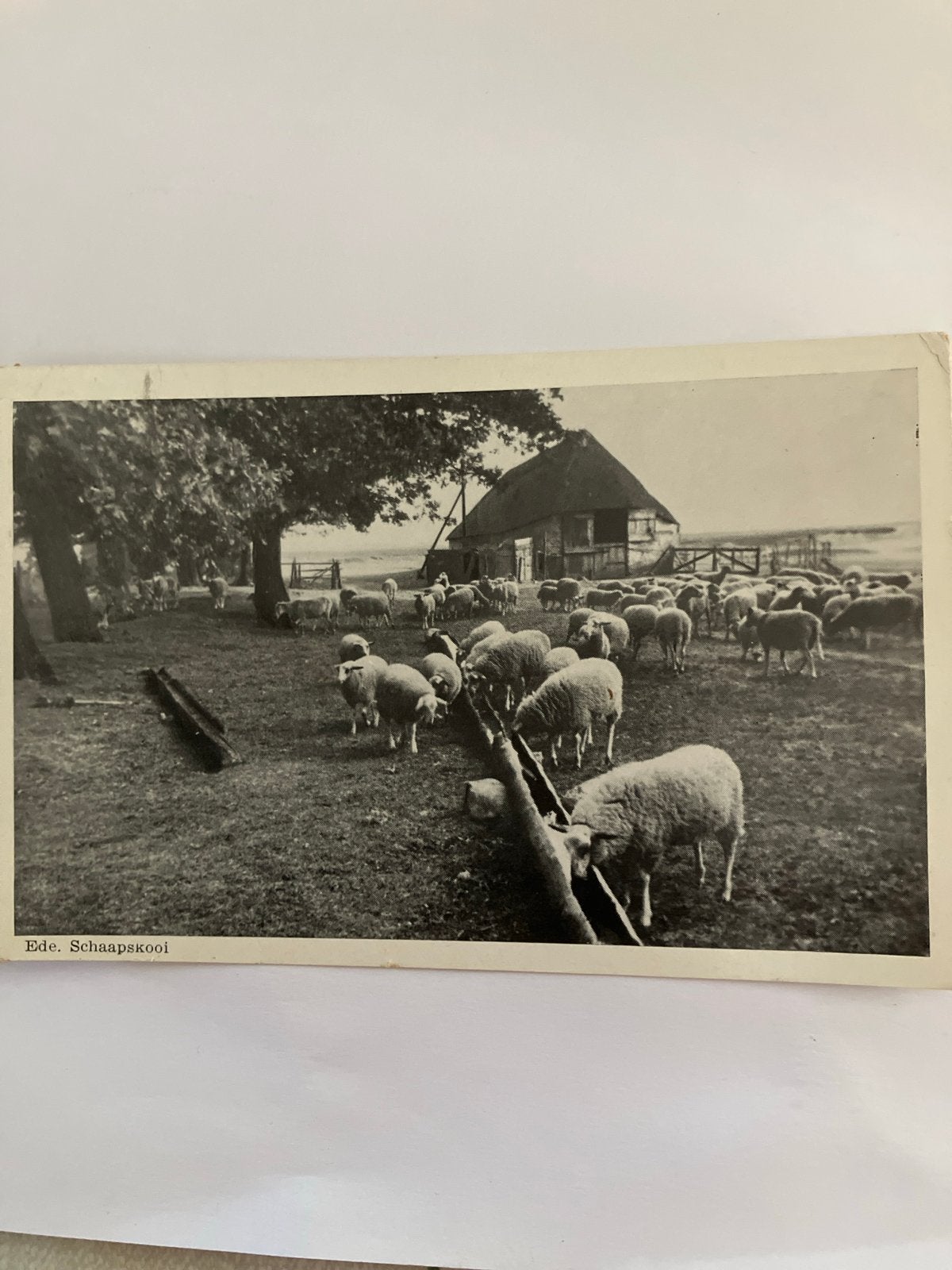 Oude Ansichtkaart Ede Schaapskooi - Gelopen, Ophalen of Verzenden, Voor 1920, Gelopen, Gelderland