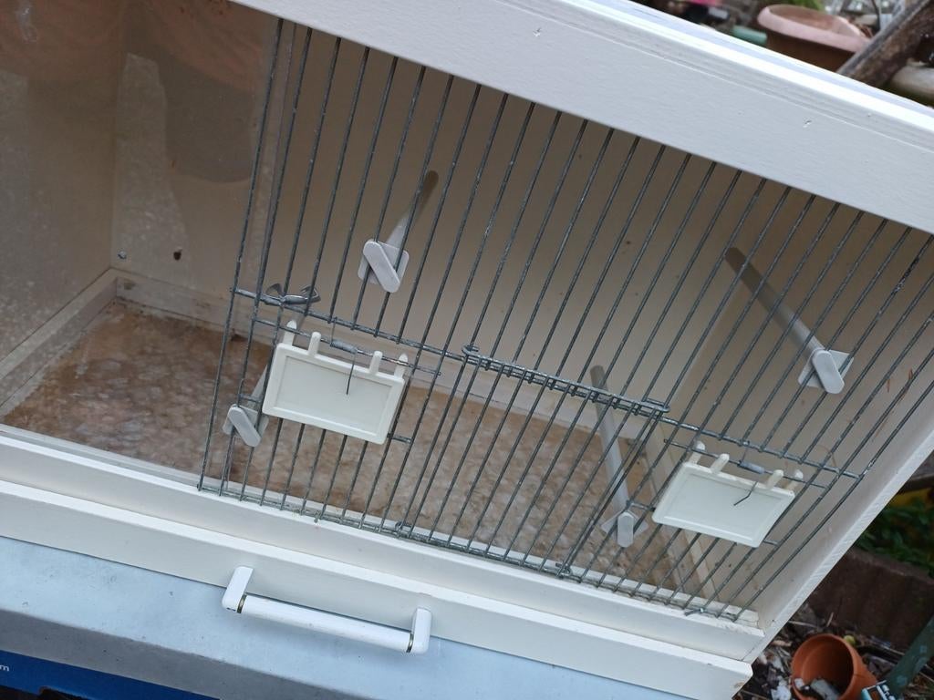 Gratis vogelkooi, Dieren en Toebehoren, Ophalen of Verzenden, Metaal, Vogelkooi