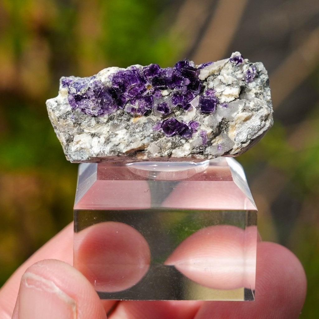 Fluoriet uit Saint Peray, Ardeche, Frankrijk #1, Ophalen of Verzenden, Mineraal