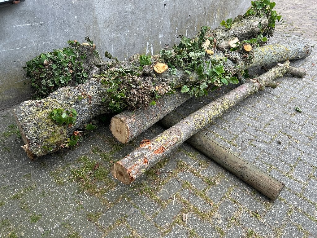 Haardhout kachelhout hout, Tuin en Terras, Haardhout, 6 m³ of meer, Ophalen, Overige houtsoorten, Stammen