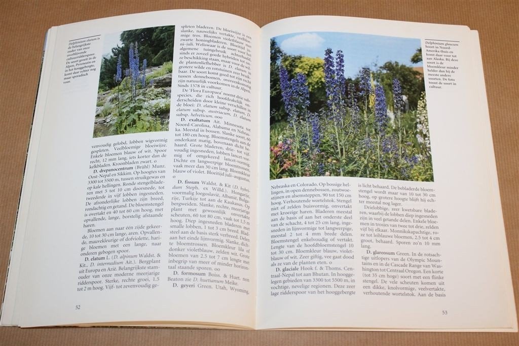 Riddersporen — Tuinplantengids — Groene Bibliotheek, Ophalen of Verzenden, Gelezen, Interieur en Design