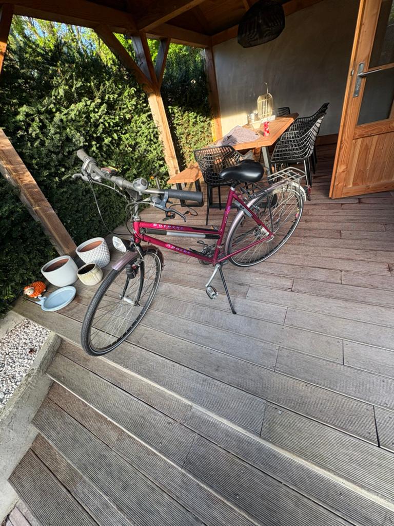 Dames en Heren fiets te koop - Rijklaar, Ophalen, Gebruikt, Schijfrem, Versnellingen