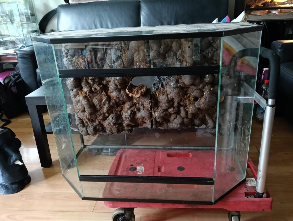 Terrarium, Dieren en Toebehoren, Ophalen