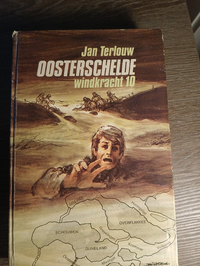 Oosterschelde, windkracht 10, Ophalen of Verzenden, Zo goed als nieuw, Fictie, Jan Terlouw