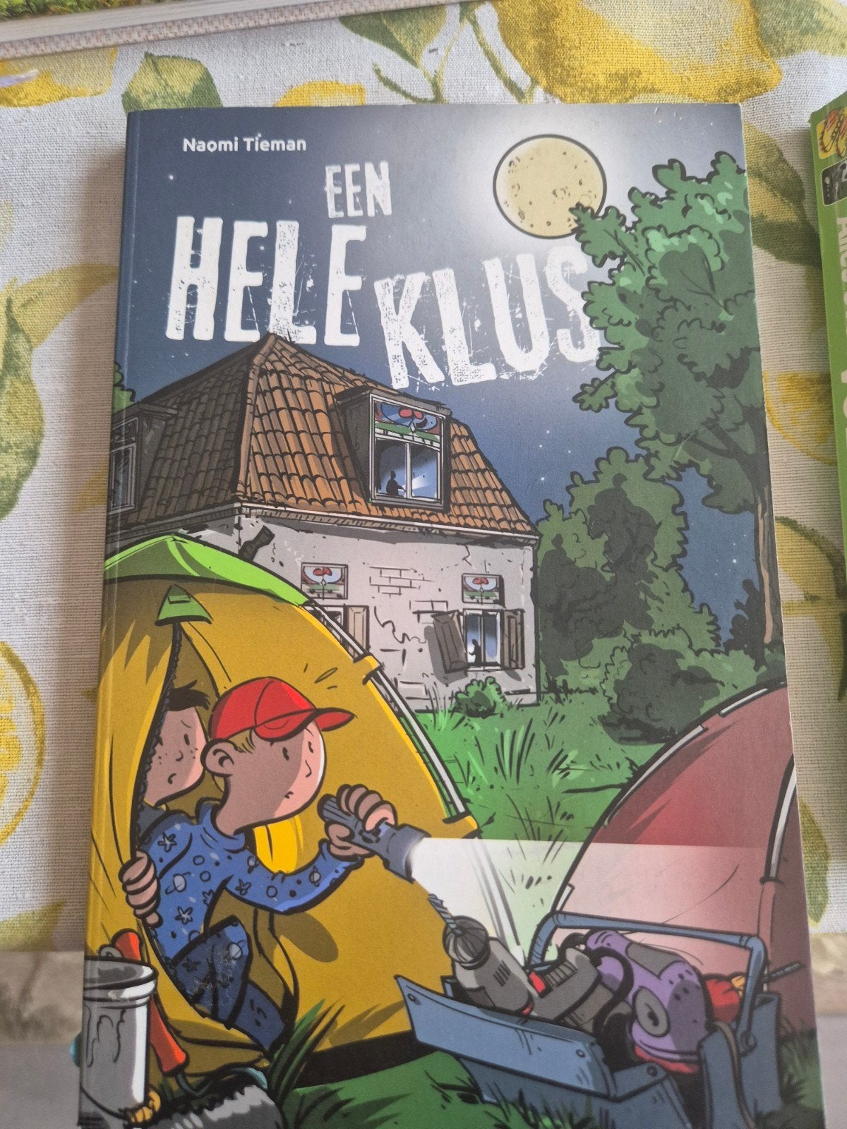 Een hele klus, Boeken, Fictie algemeen, Naomi Tieman, Ophalen of Verzenden, Zo goed als nieuw