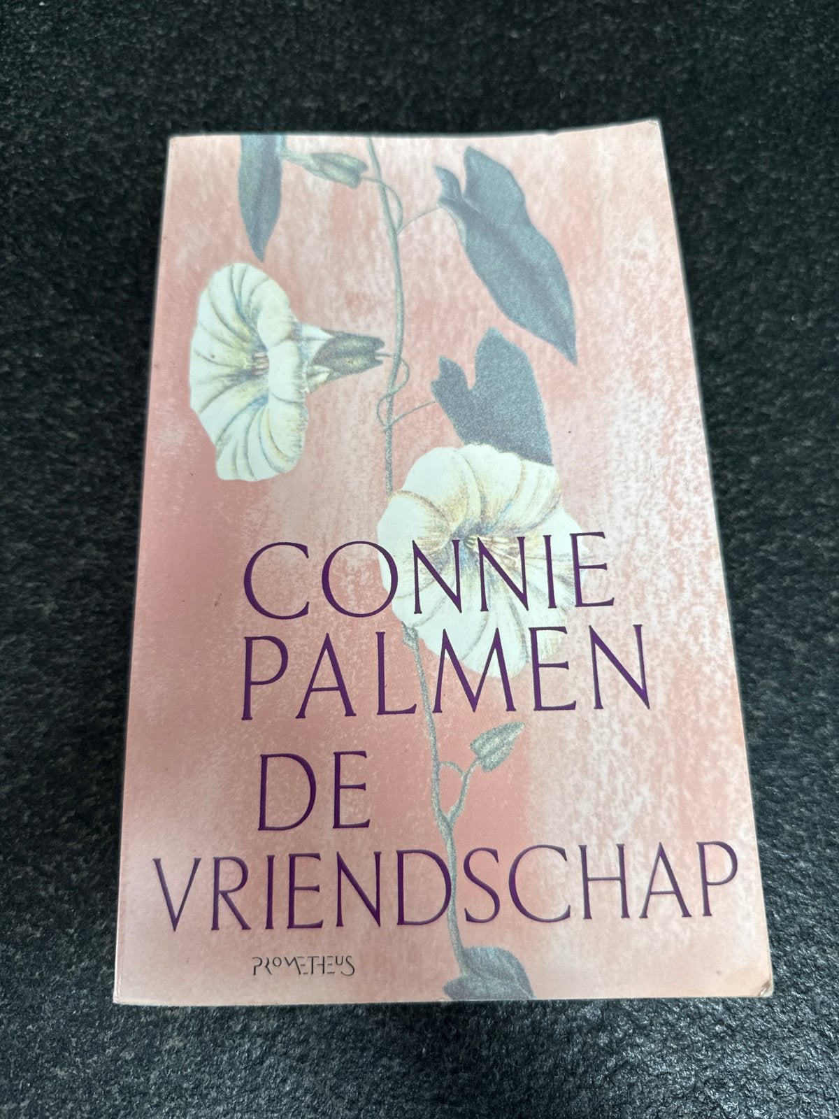 Connie Palmen - De Vriendschap (Boek), Boeken, Ophalen of Verzenden, Gelezen, Nederland